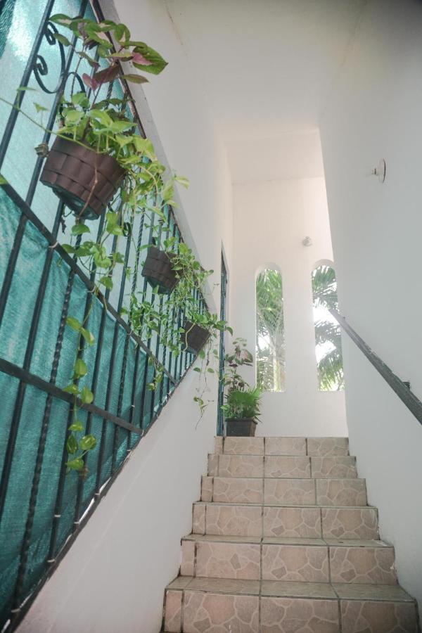 Navieros Rooms Bacalar Exterior photo